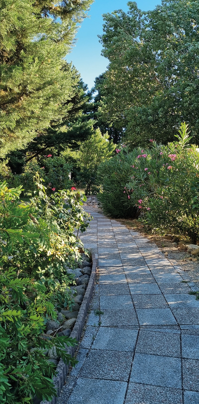 Ladies' Border  New York Botanical Garden